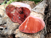 Polished On One Side Red Jasper Free Forms x 16 From Northern Cape, South Africa