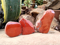 Polished On One Side Red Jasper Free Forms x 16 From Northern Cape, South Africa