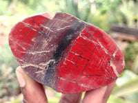 Polished On One Side Red Jasper Free Forms x 16 From Northern Cape, South Africa