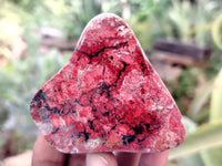 Polished On One Side Red Jasper Free Forms x 16 From Northern Cape, South Africa