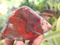 Polished On One Side Red Jasper Free Forms x 16 From Northern Cape, South Africa