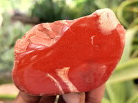 Polished On One Side Red Jasper Free Forms x 16 From Northern Cape, South Africa