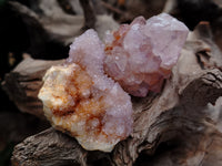 Natural Ametrine Spirit Quartz Clusters x 35 From Boekenhouthoek, South Africa