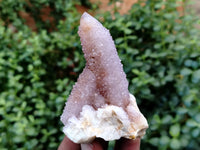 Natural Ametrine Spirit Quartz Clusters x 35 From Boekenhouthoek, South Africa