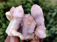 Natural Ametrine Spirit Quartz Clusters x 35 From Boekenhouthoek, South Africa