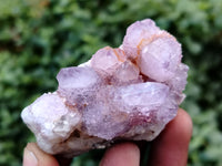 Natural Ametrine Spirit Quartz Clusters x 35 From Boekenhouthoek, South Africa