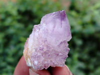 Natural Ametrine Spirit Quartz Clusters x 35 From Boekenhouthoek, South Africa