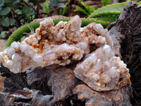 Natural Fairy Spirit Quartz Clusters x 5 From Boekenhouthoek, South Africa