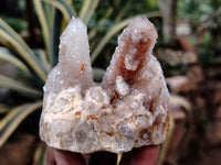 Natural Fairy Spirit Quartz Clusters x 5 From Boekenhouthoek, South Africa