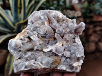 Natural Fairy Spirit Quartz Clusters x 5 From Boekenhouthoek, South Africa