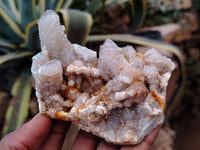 Natural Fairy Spirit Quartz Clusters x 5 From Boekenhouthoek, South Africa