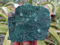 Natural Crystalline Malachite Specimens x 3 From Tenke Fungurume, Congo