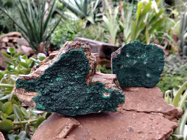 Natural Crystalline Malachite Specimens x 3 From Tenke Fungurume, Congo