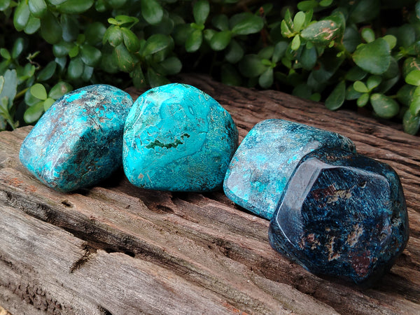 Polished Shattuckite with Azurite and Chrysocolla Free Forms x 4 From Congo