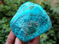 Polished Shattuckite with Azurite and Chrysocolla Free Forms x 4 From Congo