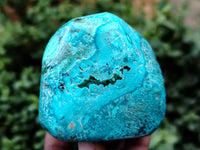 Polished Shattuckite with Azurite and Chrysocolla Free Forms x 4 From Congo