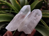 Natural Quartz Crystals x 24 From Madagascar