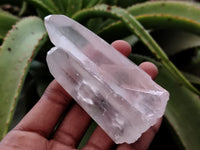 Natural Quartz Crystals x 24 From Madagascar