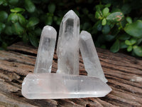 Natural Quartz Crystals x 24 From Madagascar