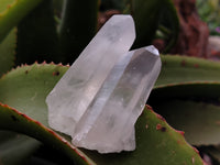 Natural Quartz Crystals x 24 From Madagascar