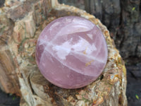 Polished Rose Quartz Spheres x 3 From Ambatondrazaka, Madagascar