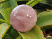 Polished Rose Quartz Spheres x 3 From Ambatondrazaka, Madagascar