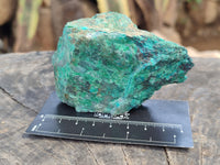 Natural Shattuckite with Azurite and Chrysocolla Specimens x 10 From Namibia