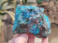 Natural Shattuckite with Azurite and Chrysocolla Specimens x 10 From Namibia