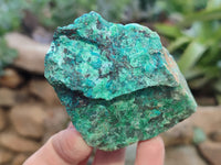 Natural Shattuckite with Azurite and Chrysocolla Specimens x 10 From Namibia