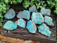 Natural Shattuckite with Azurite and Chrysocolla Specimens x 10 From Namibia