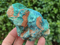 Natural Shattuckite with Azurite and Chrysocolla Specimens x 10 From Namibia