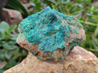 Natural Shattuckite with Azurite and Chrysocolla Specimens x 10 From Namibia