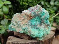 Natural Shattuckite with Azurite and Chrysocolla Specimens x 10 From Namibia