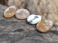 Polished Fossil Flower Agate Cabachons x 70 From Antsahalova, Madagascar