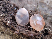 Polished Fossil Flower Agate Cabachons x 70 From Antsahalova, Madagascar