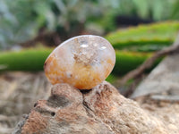 Polished Fossil Flower Agate Cabachons x 70 From Antsahalova, Madagascar