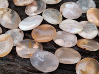 Polished Fossil Flower Agate Cabachons x 70 From Antsahalova, Madagascar