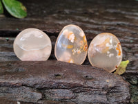 Polished Fossil Flower Agate Cabachons x 70 From Antsahalova, Madagascar