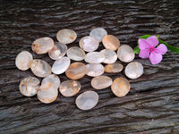 Polished Fossil Flower Agate Cabachons x 70 From Antsahalova, Madagascar