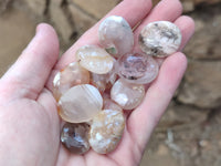 Polished Fossil Flower Agate Cabachons x 70 From Antsahalova, Madagascar