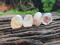 Polished Fossil Flower Agate Cabachons x 70 From Antsahalova, Madagascar