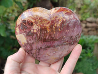 Polished Podocarpus Petrified Wood Hearts x 2 From Mahajanga, Madagascar