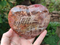 Polished Podocarpus Petrified Wood Hearts x 2 From Mahajanga, Madagascar