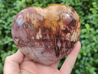 Polished Podocarpus Petrified Wood Hearts x 2 From Mahajanga, Madagascar