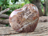 Polished Podocarpus Petrified Wood Hearts x 2 From Mahajanga, Madagascar