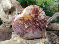 Polished Podocarpus Petrified Wood Hearts x 2 From Mahajanga, Madagascar