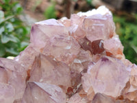 Natural Amethyst Spirit Quartz Clusters x 2 From Boekenhouthoek, South Africa