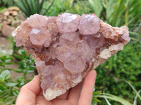 Natural Amethyst Spirit Quartz Clusters x 2 From Boekenhouthoek, South Africa