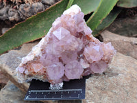 Natural Amethyst Spirit Quartz Clusters x 2 From Boekenhouthoek, South Africa