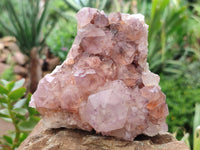 Natural Amethyst Spirit Quartz Clusters x 2 From Boekenhouthoek, South Africa